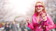 Legally Blonde (Image via Prime Video)